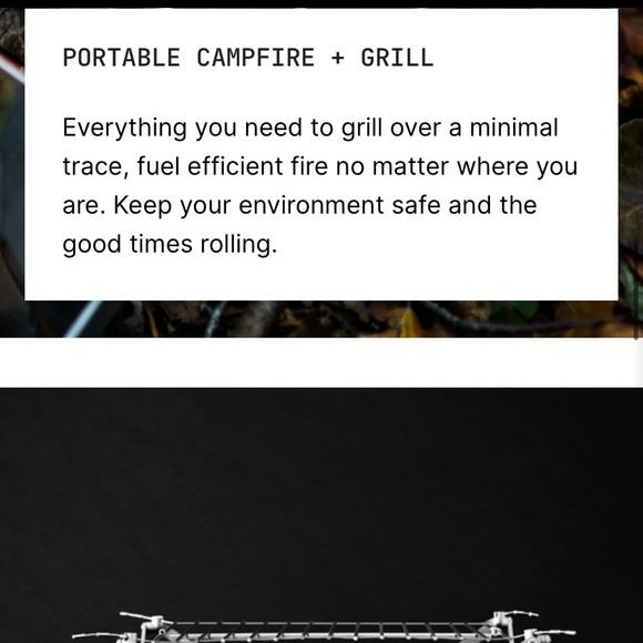 Wolf and Grizzly Campfire trio - Picture 3 of 15